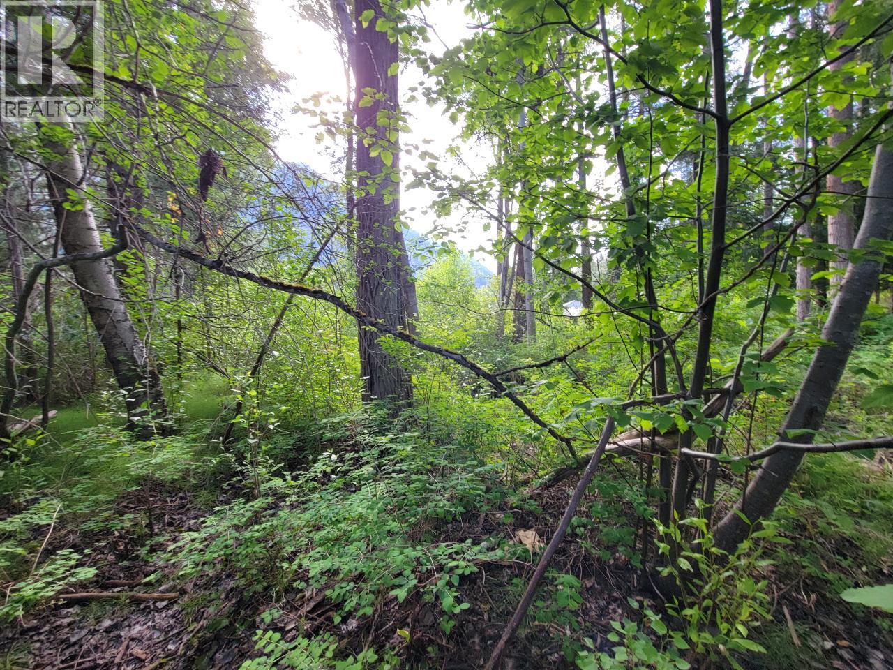 LOT 1 PASSMORE OLD ROAD - 20