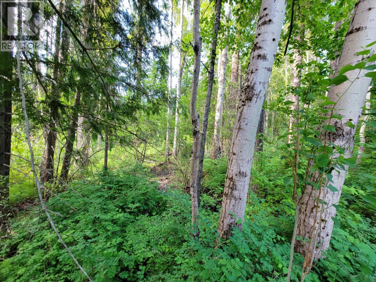 LOT 1 PASSMORE OLD ROAD - 21