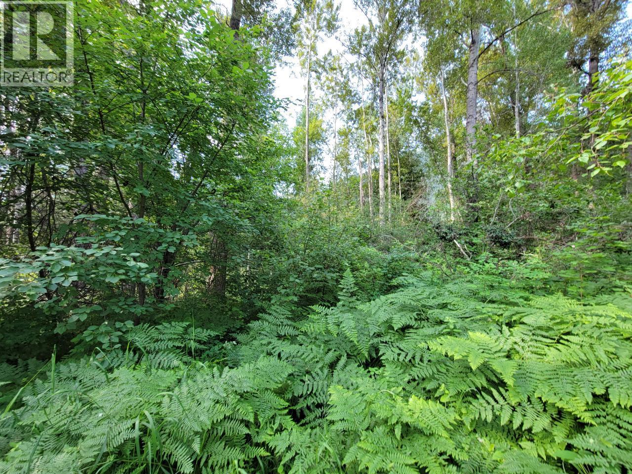 LOT 1 PASSMORE OLD ROAD - 22