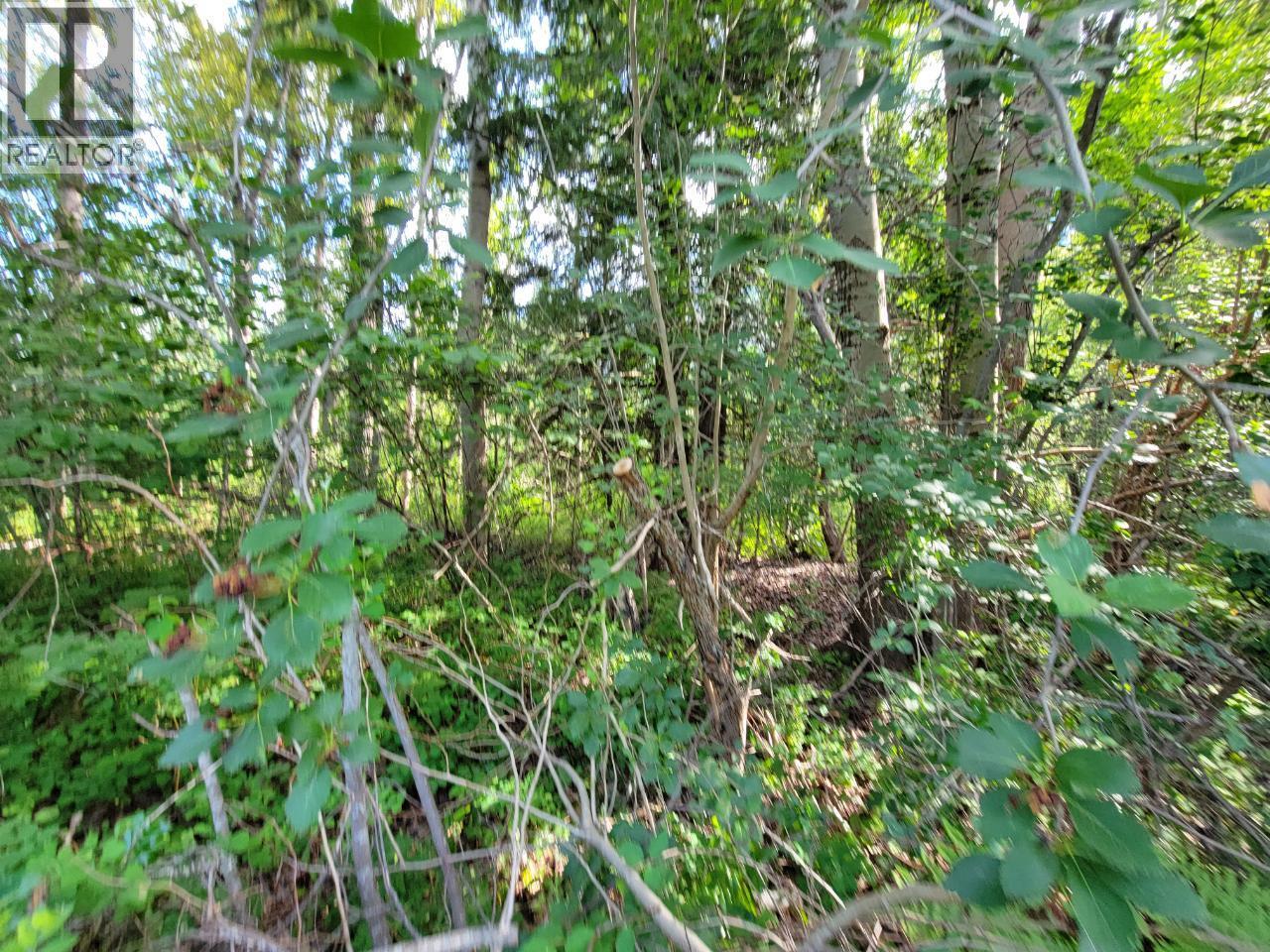 LOT 1 PASSMORE OLD ROAD - 26