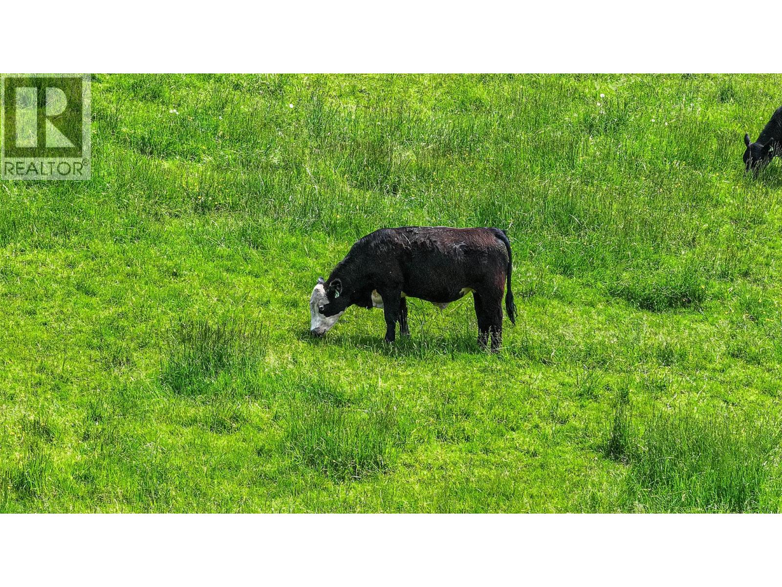  5541 Dixon Dam Road, Vernon