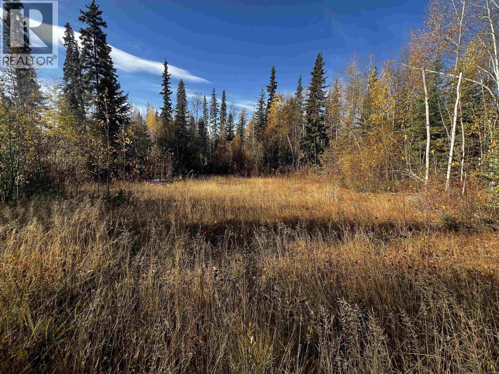 22361 STELLA ROAD, Fraser Lake