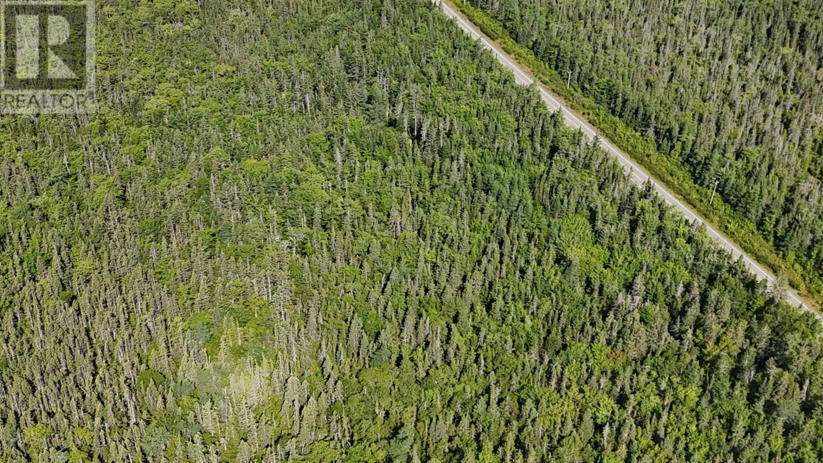 Property 7 of 19 of 70 acre Highway 4