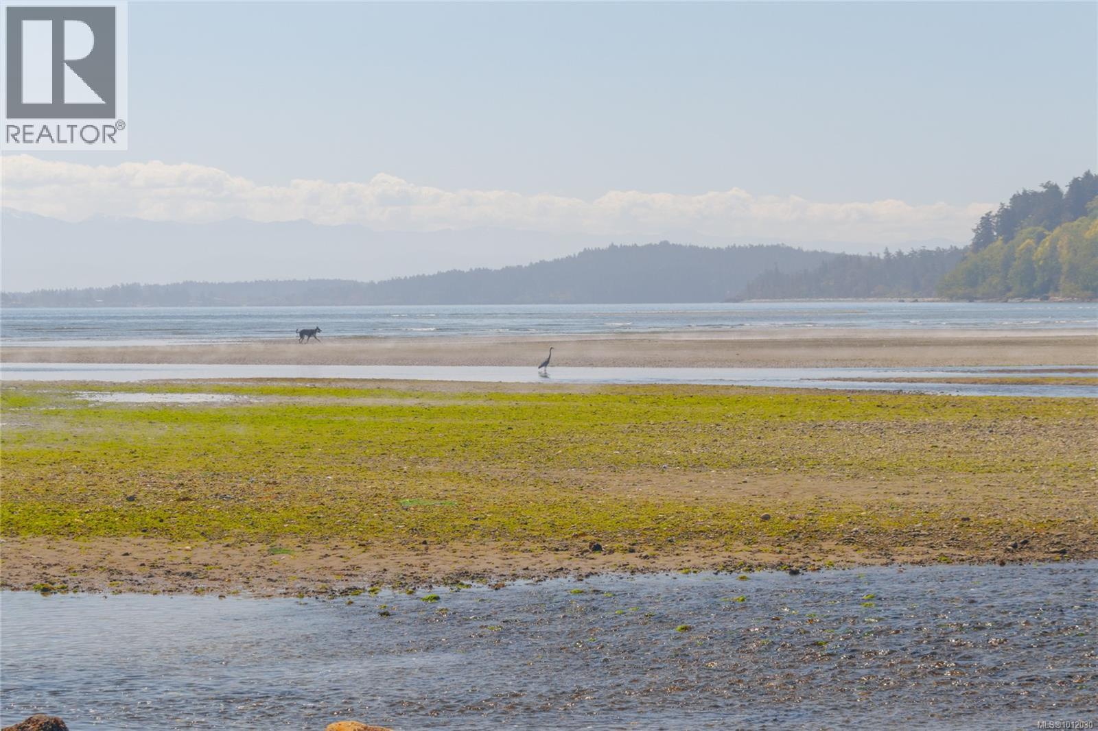 4286 Happy Valley Rd, Metchosin