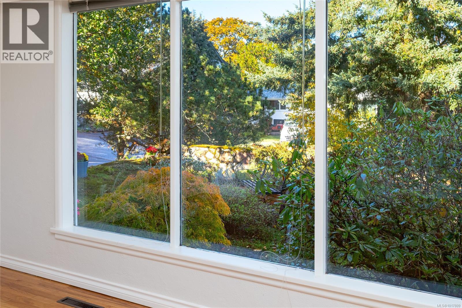 991 Snowdrop Avenue, Saanich