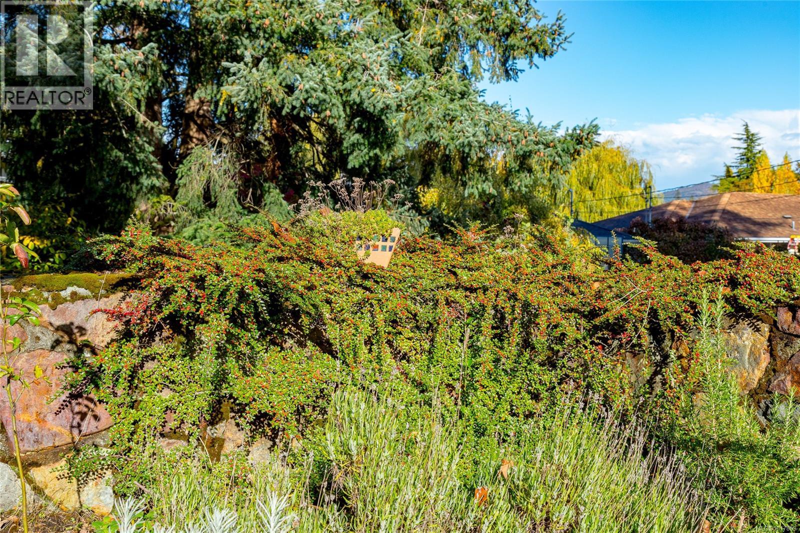 991 Snowdrop Avenue, Saanich