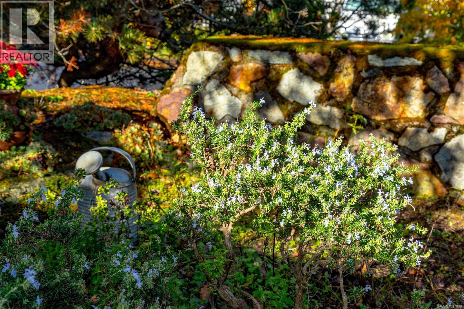 991 Snowdrop Avenue, Saanich