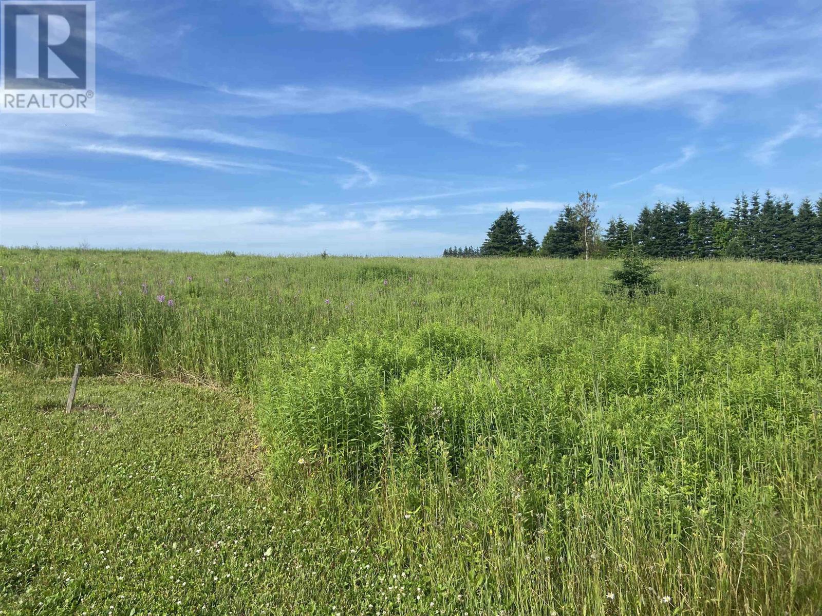 Lot #3 Cory's Lane — photo 9
