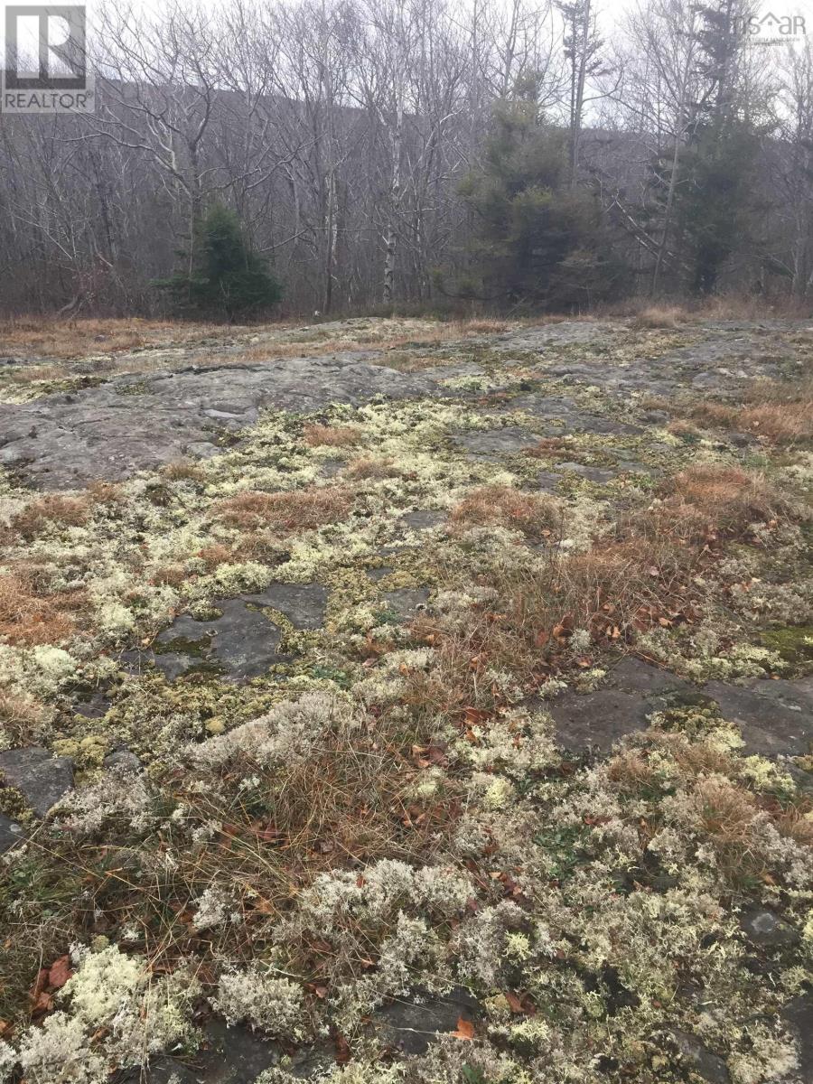 Property 10 of 14 of 1762 Culloden Road