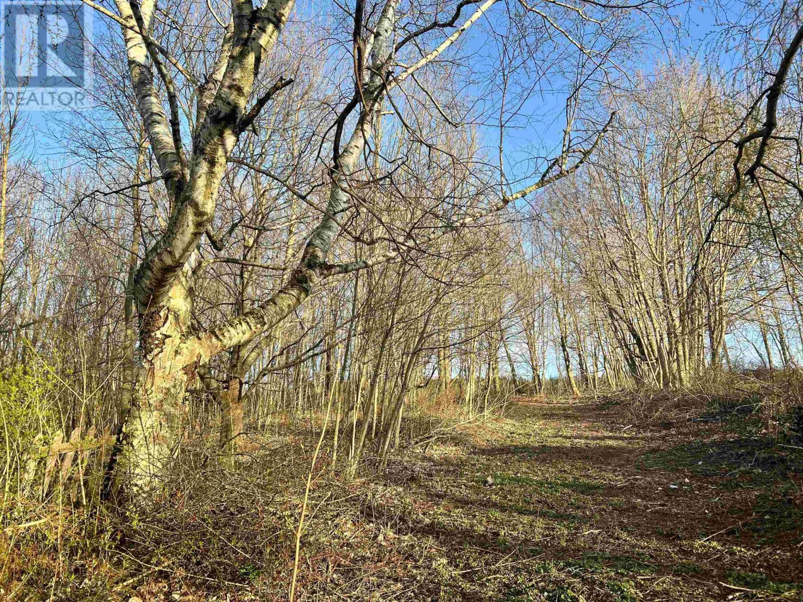 Property 6 of 10 of Lot 2022-2 Greenfield Road