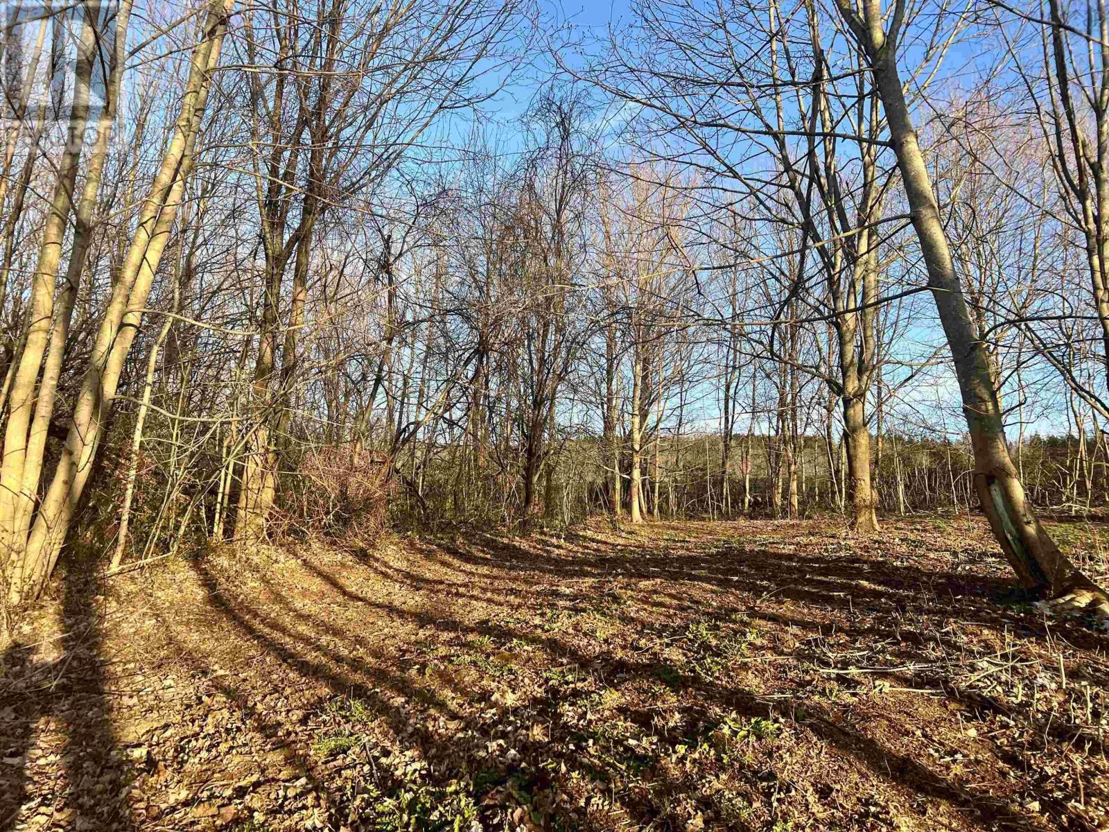 Property 7 of 10 of Lot 2022-2 Greenfield Road