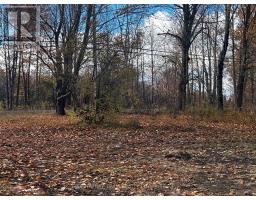 482 Bellamy Road, Mcnab/braeside, ON K0A3L0 Photo 6