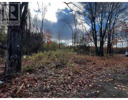 482 Bellamy Road, Mcnab/braeside, ON K0A3L0 Photo 7