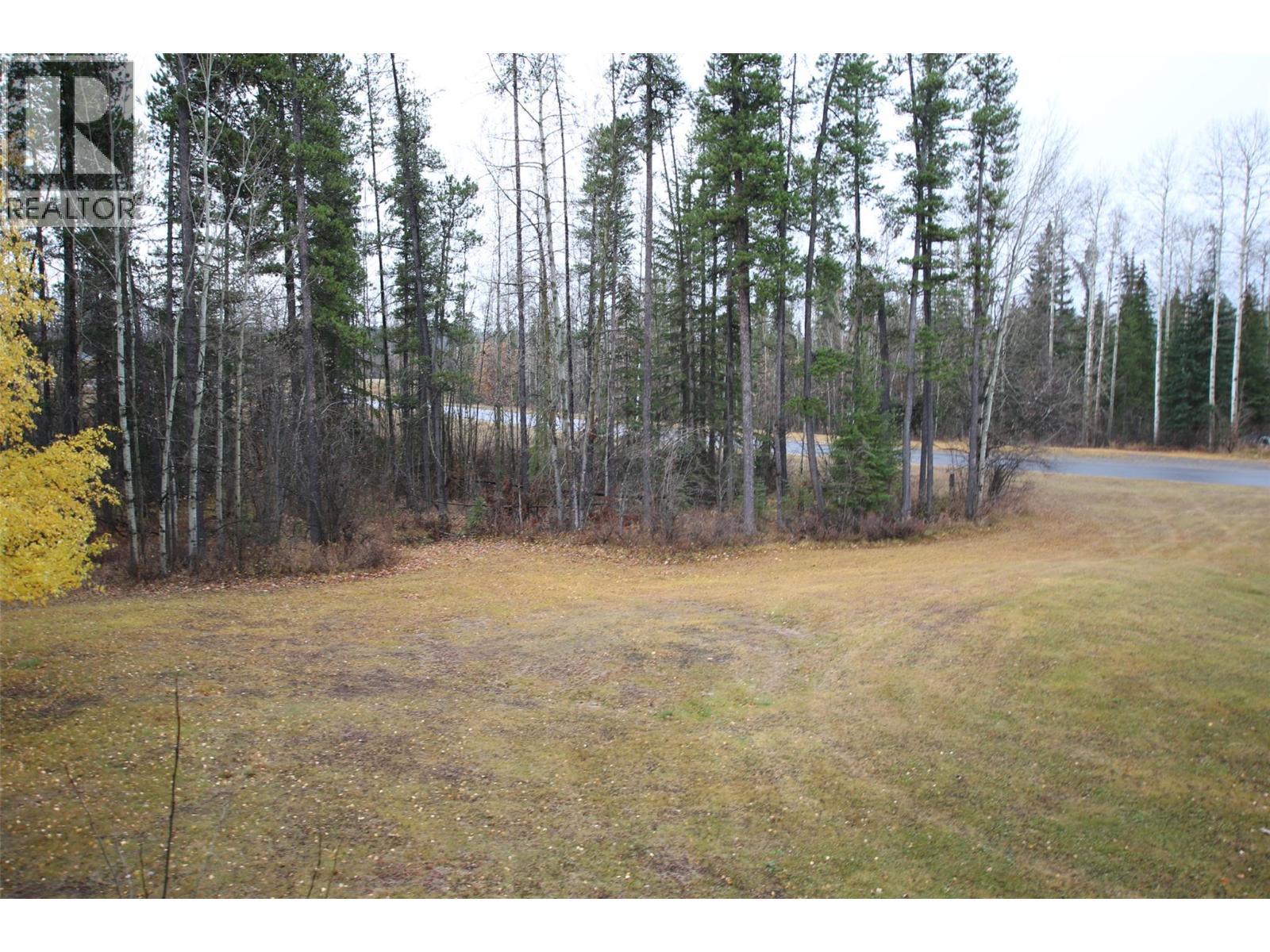 195 CHAMBERLAIN Crescent Unit# 206, Tumbler Ridge