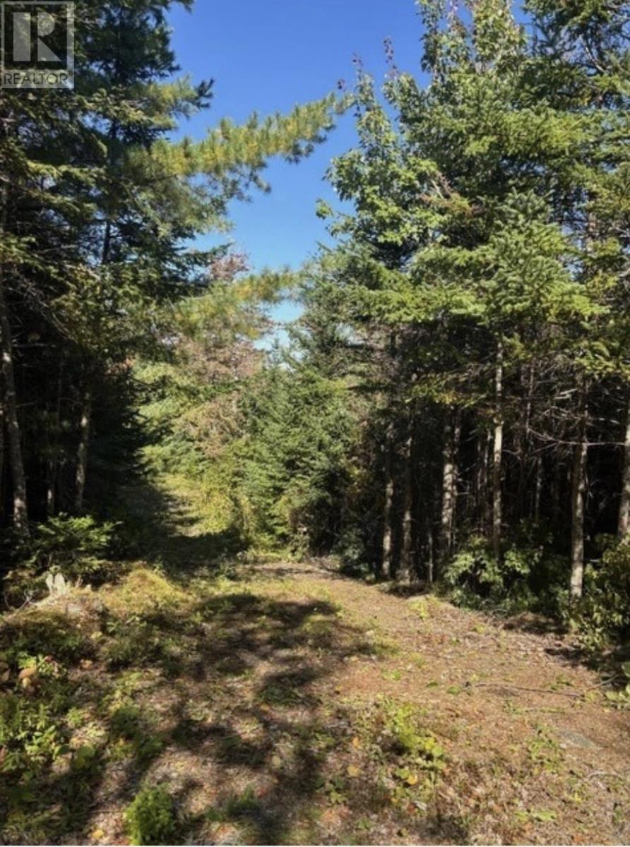 Property 2 of 8 of Lot 23 Anderson Drive