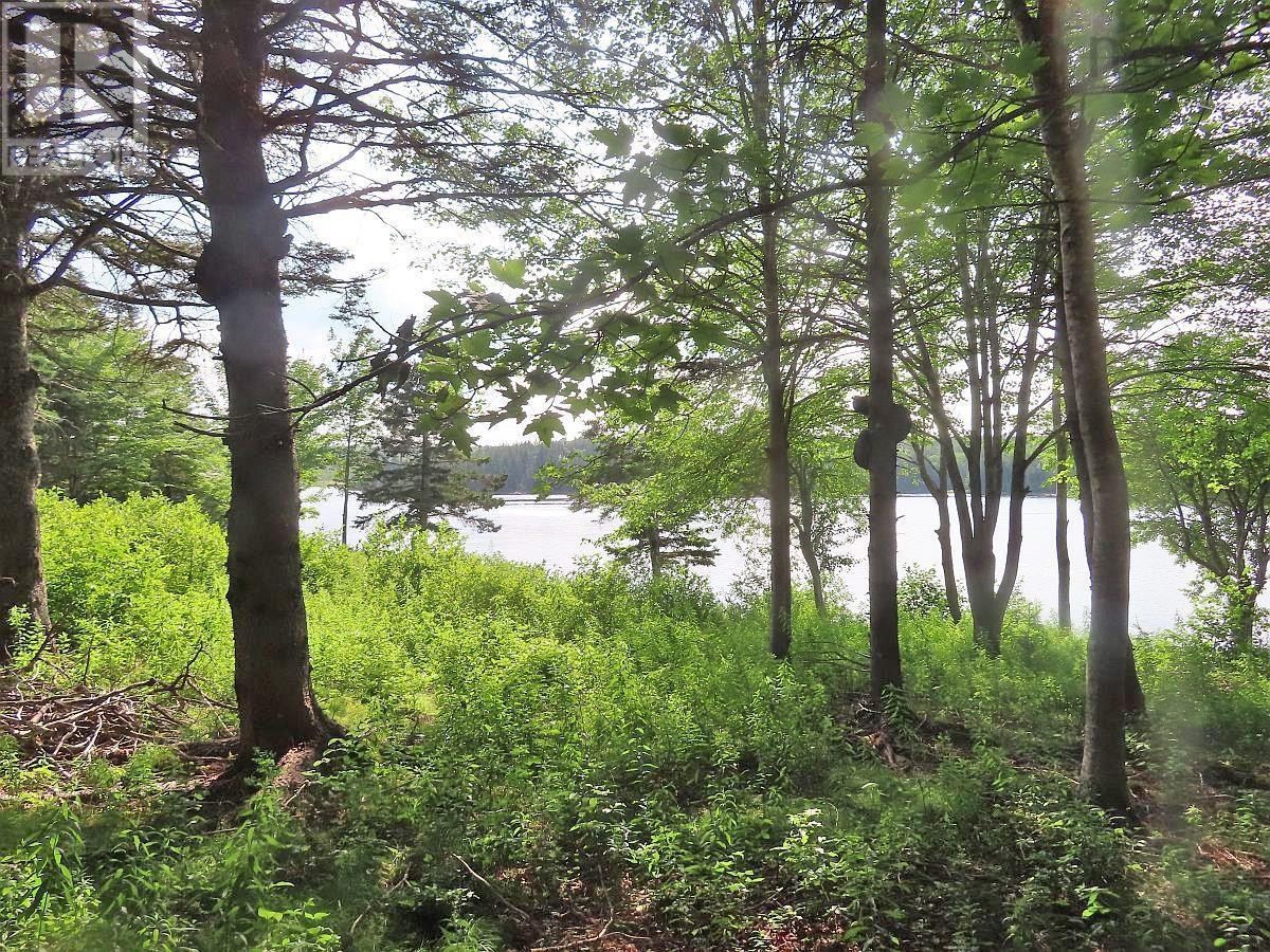 Property 10 of 30 of 2018-34Y Evanston Road, Stephen Augustin Dr