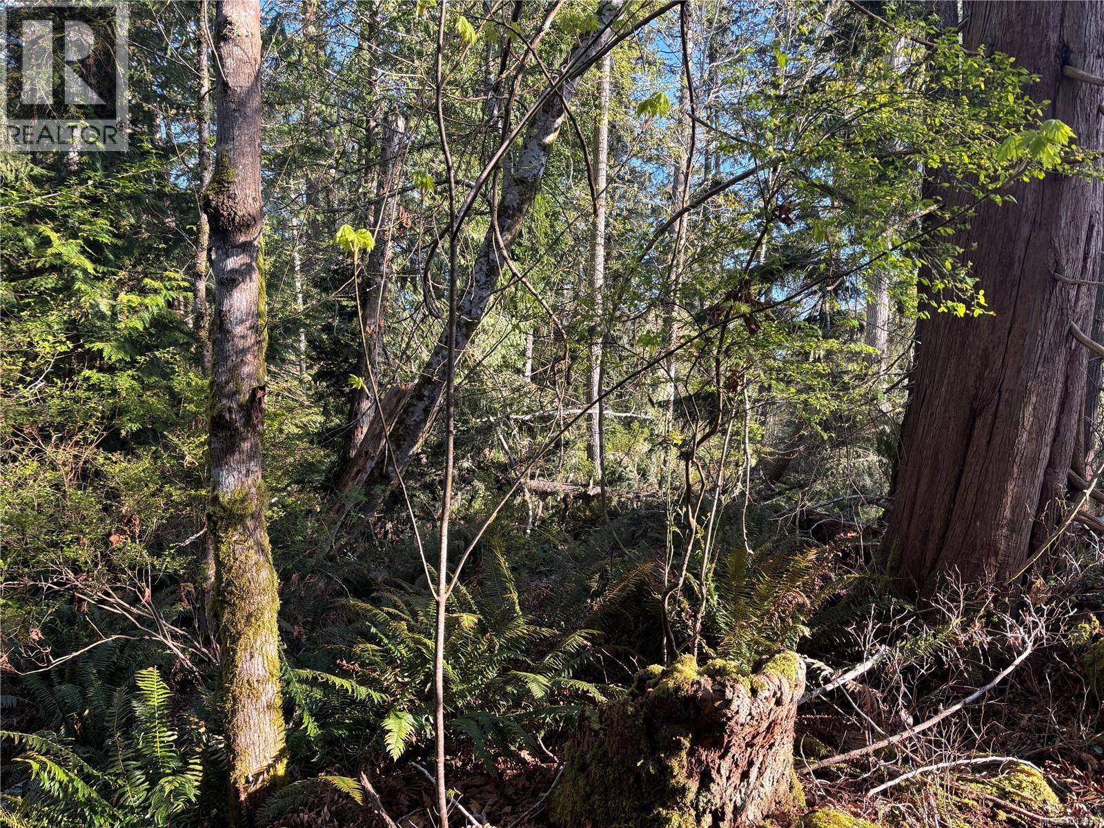 Lot 13 Seagirt Rd, Sooke