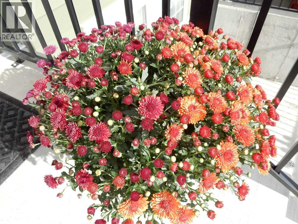 Single Family House for Sale in  Cranbrook Square SE Cranston Calgary 