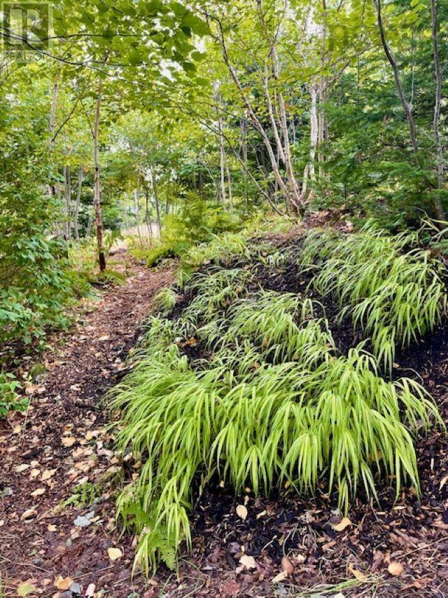 Property 9 of 12 of 4 Stone Wall Road