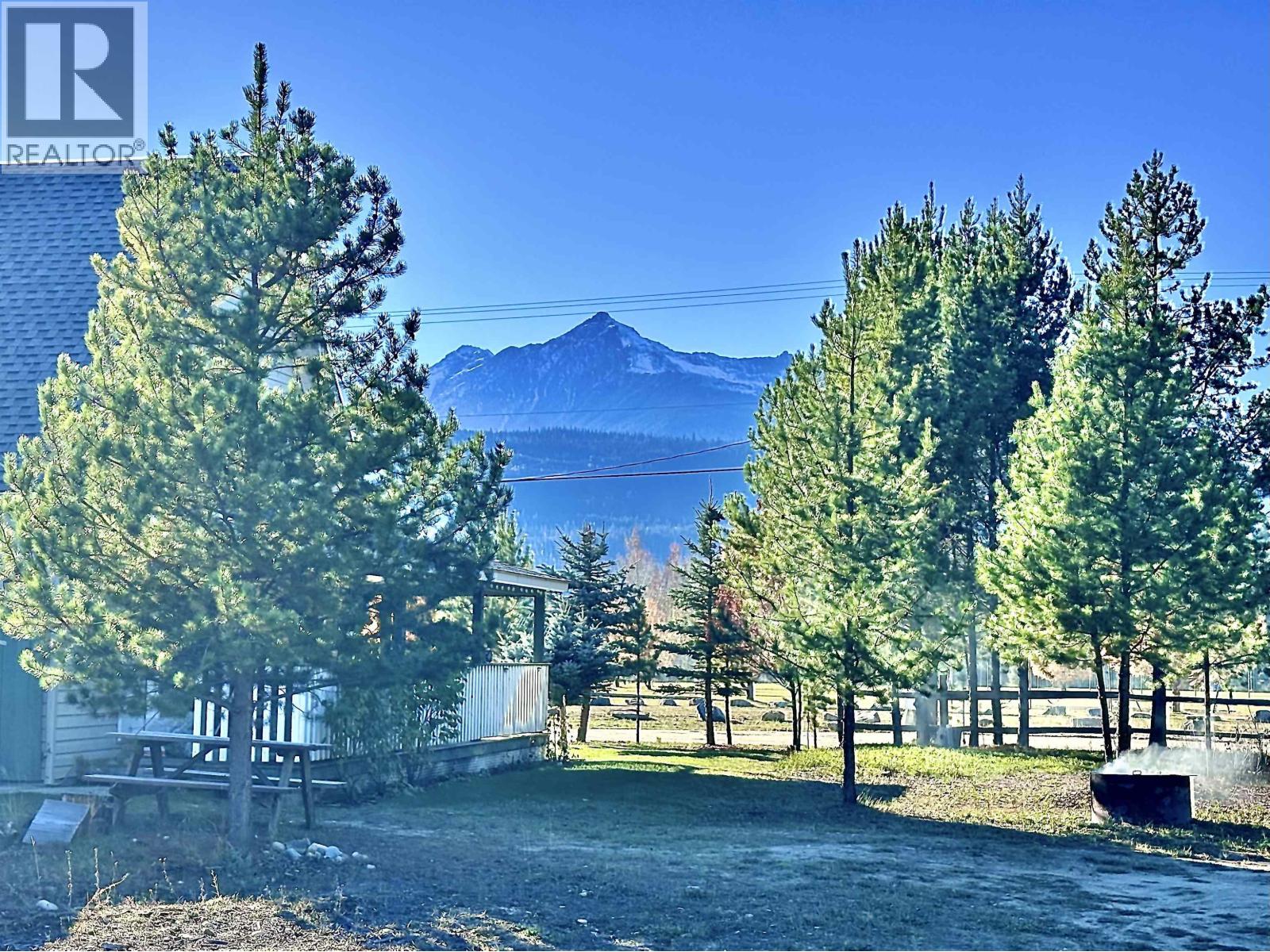 205 DOGWOOD STREET, Valemount