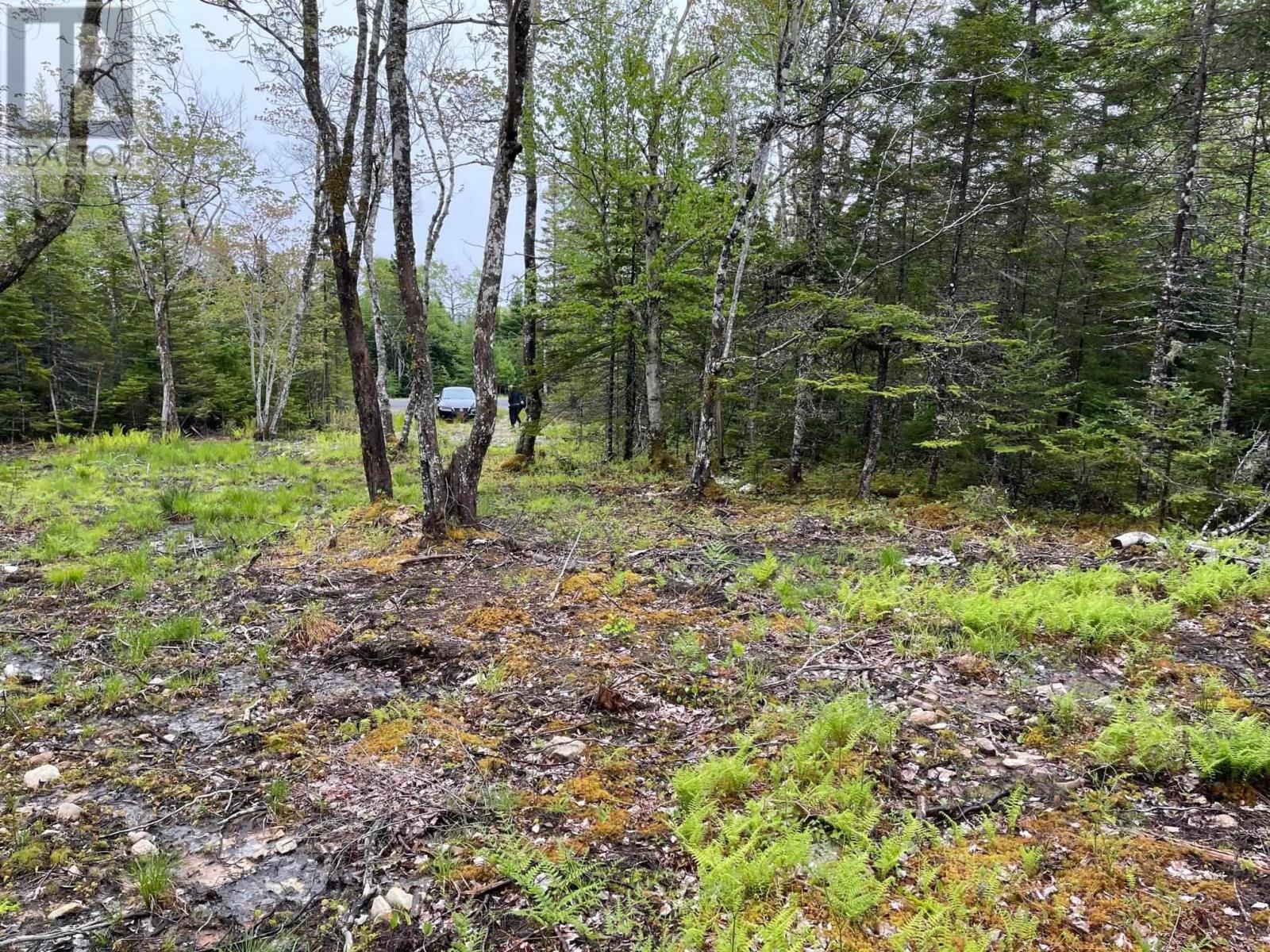 Property 2 of 3 of Lot 1A-81 Maple Drive