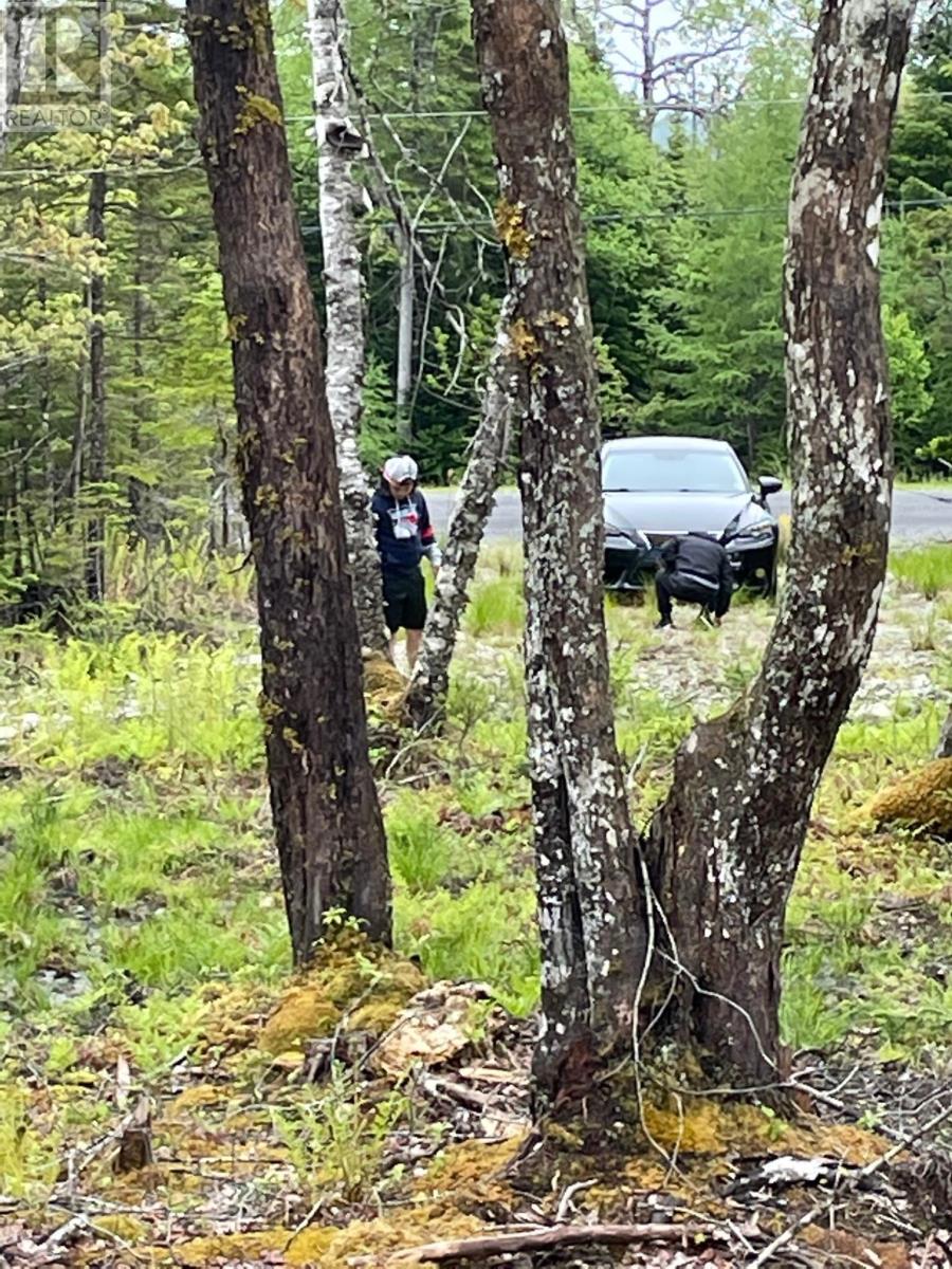 Property 3 of 3 of Lot 1A-81 Maple Drive