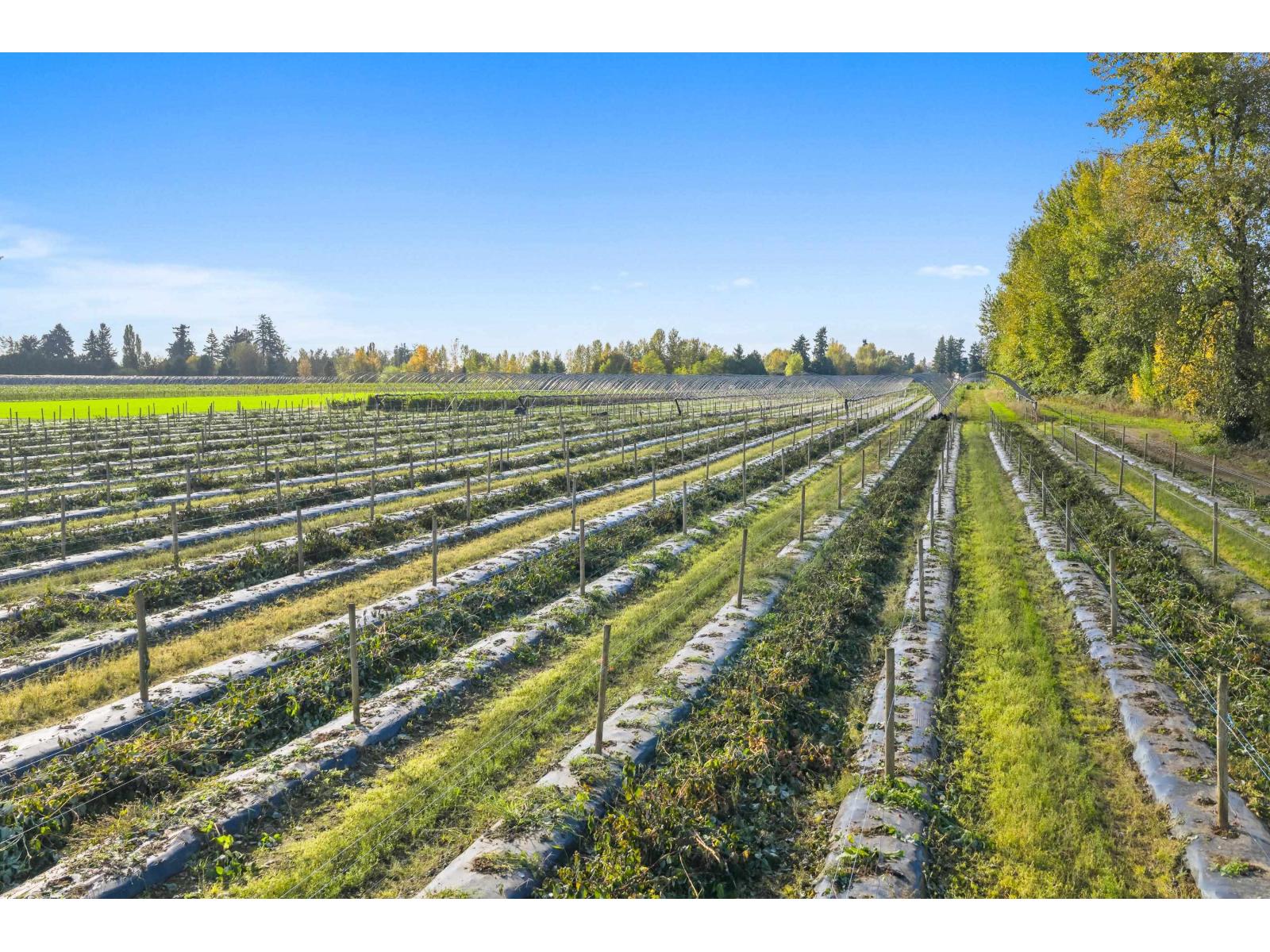 1415 CLEARBROOK ROAD, Abbotsford