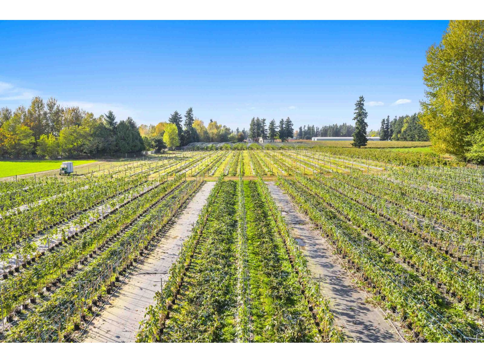 1415 CLEARBROOK ROAD, Abbotsford