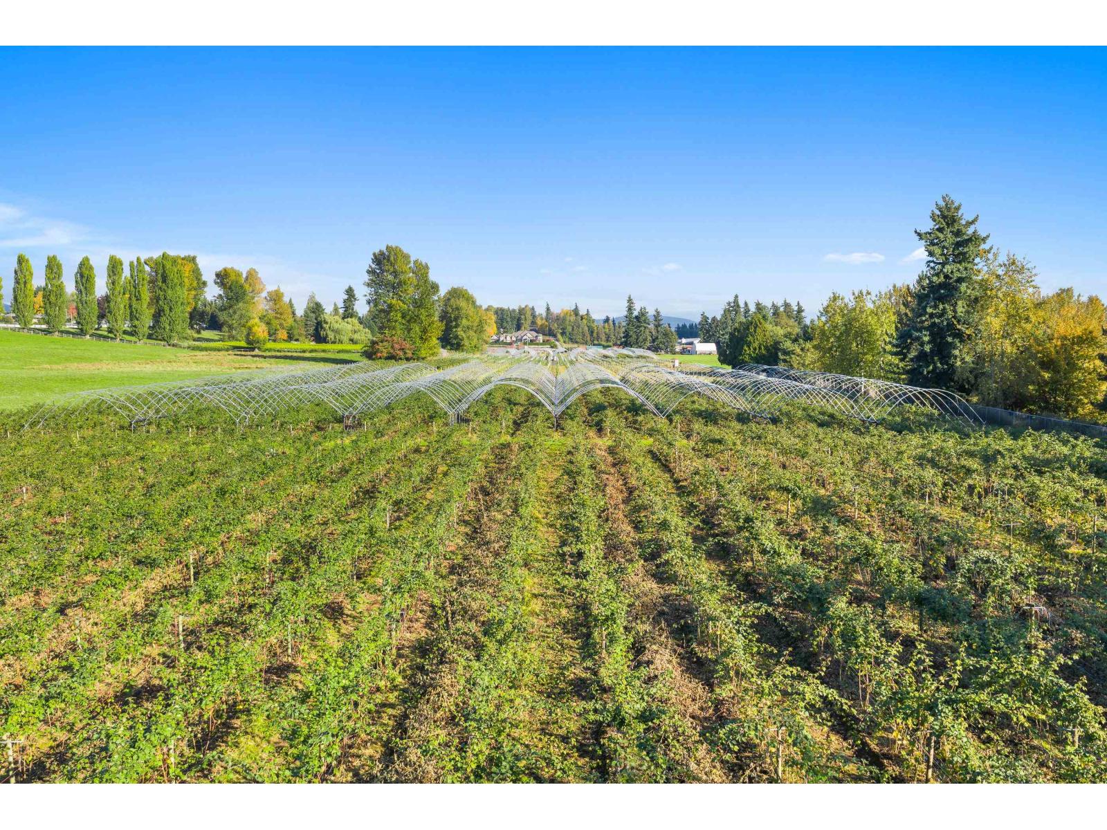 1415 CLEARBROOK ROAD, Abbotsford