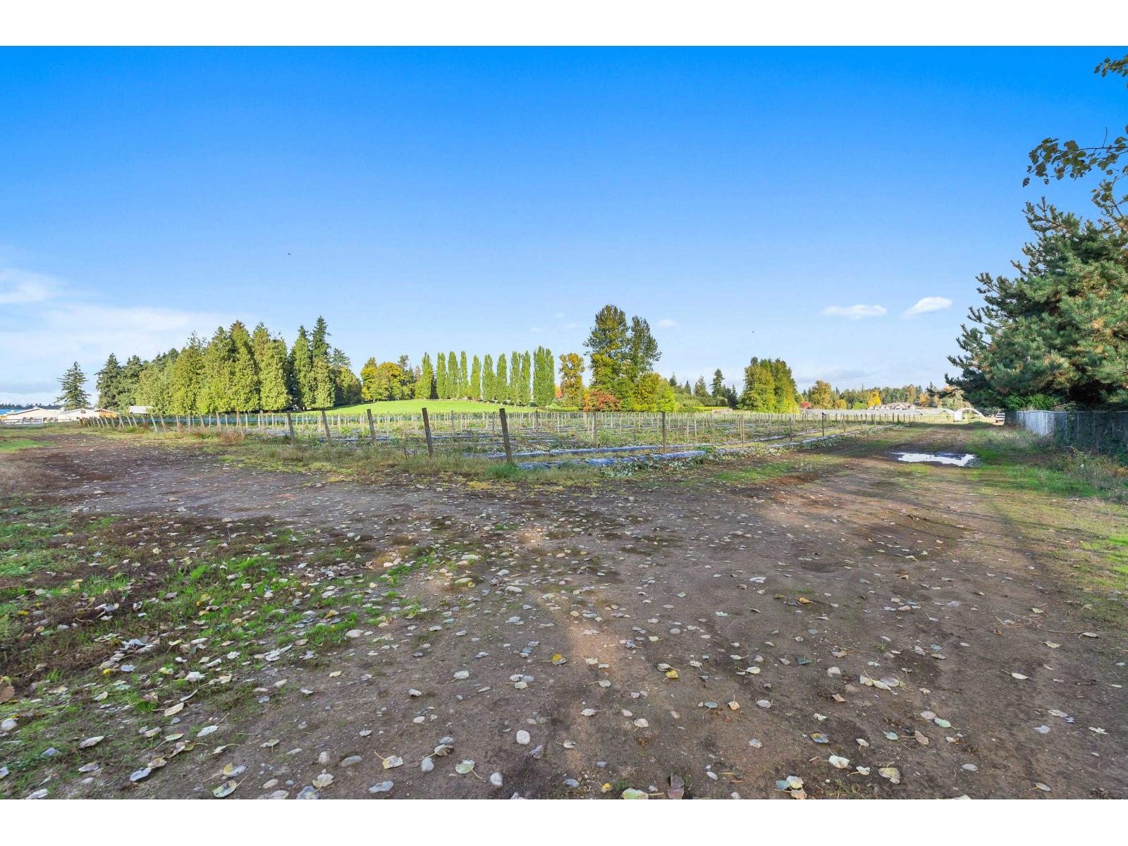 1415 CLEARBROOK ROAD, Abbotsford