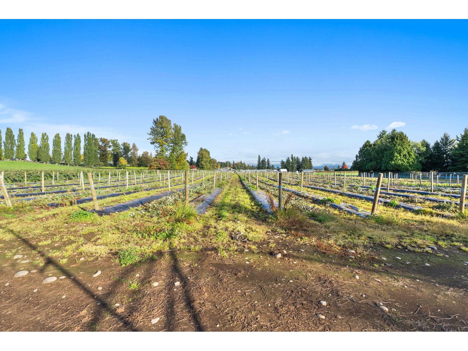 1415 CLEARBROOK ROAD, Abbotsford