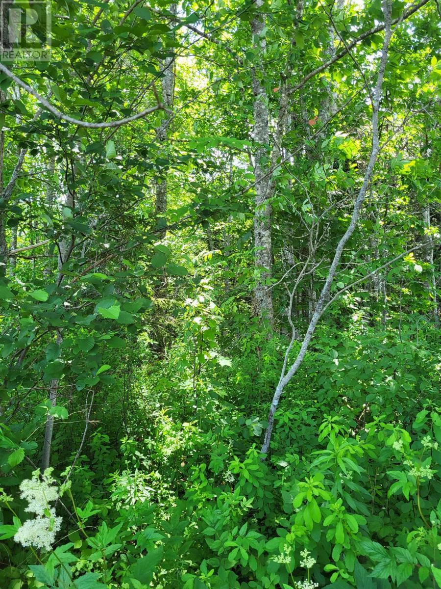 Property 7 of 7 of Highway 215 Urbania