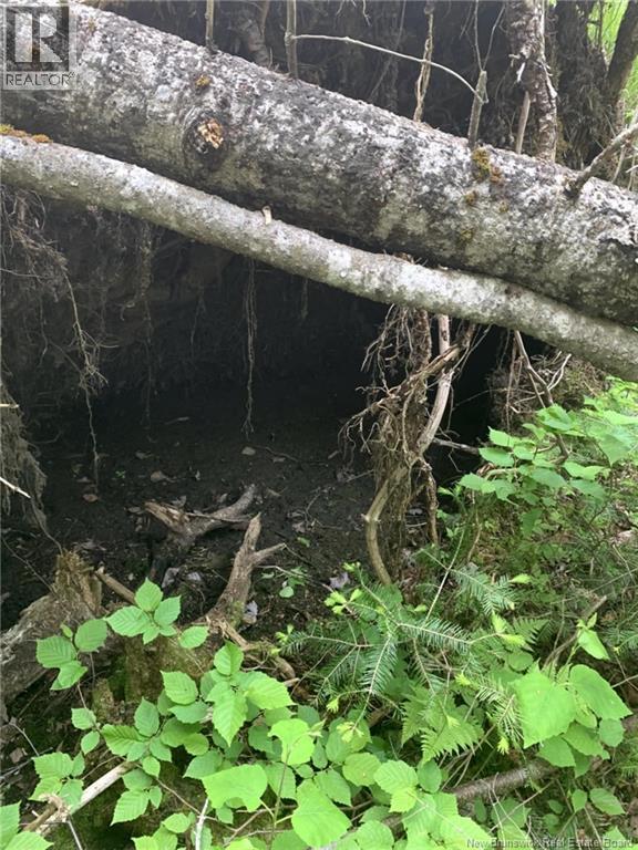 Lot 2 Thompson Road - Photo 5 of 7, Kierstead Mountain, New Brunswick