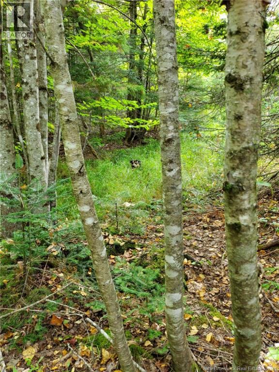 Lot 2 Thompson Road - Photo 2 of 7, Kierstead Mountain, New Brunswick