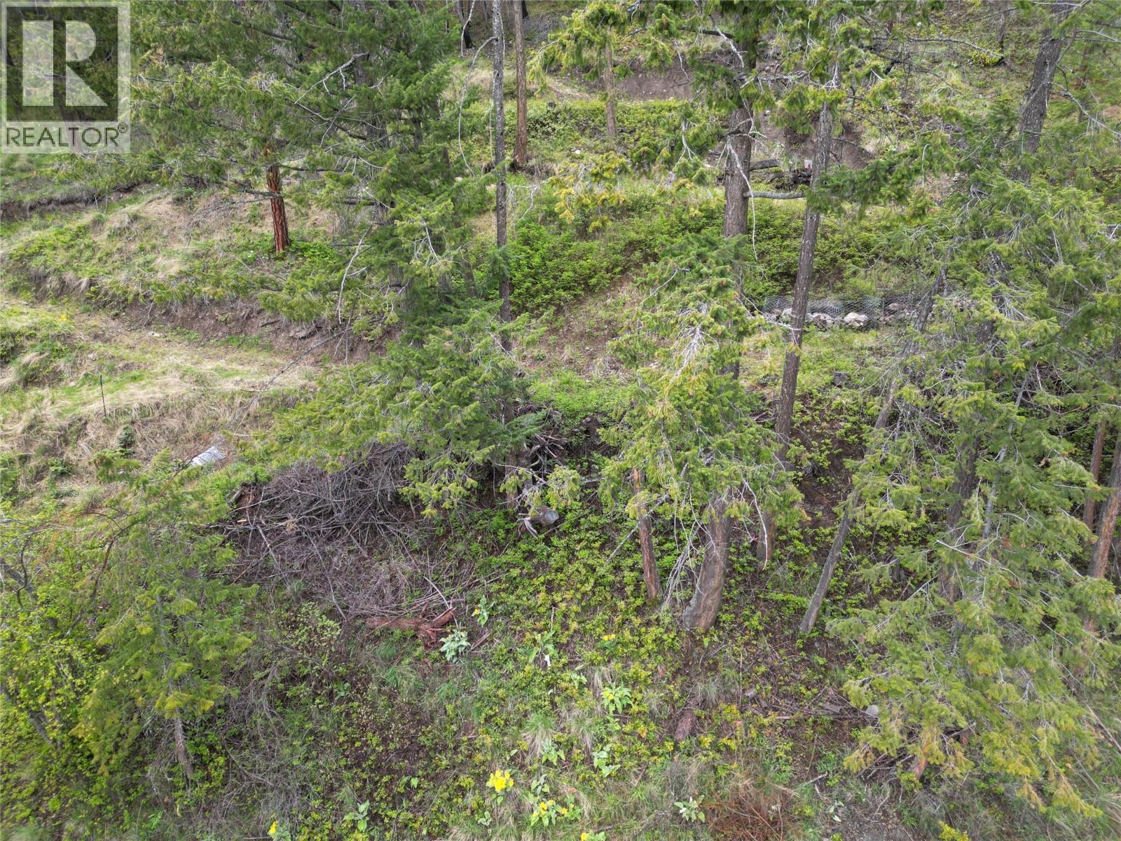  55 Winchester Road, Fintry