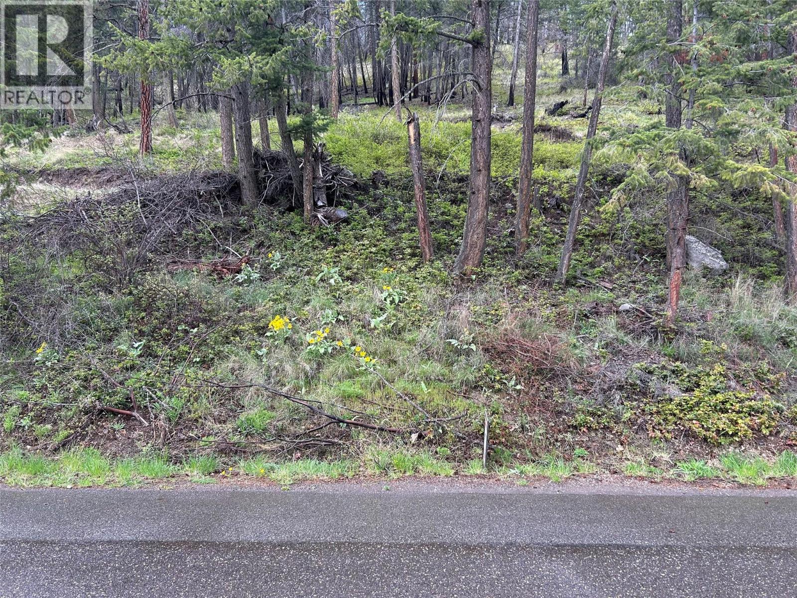  55 Winchester Road, Fintry