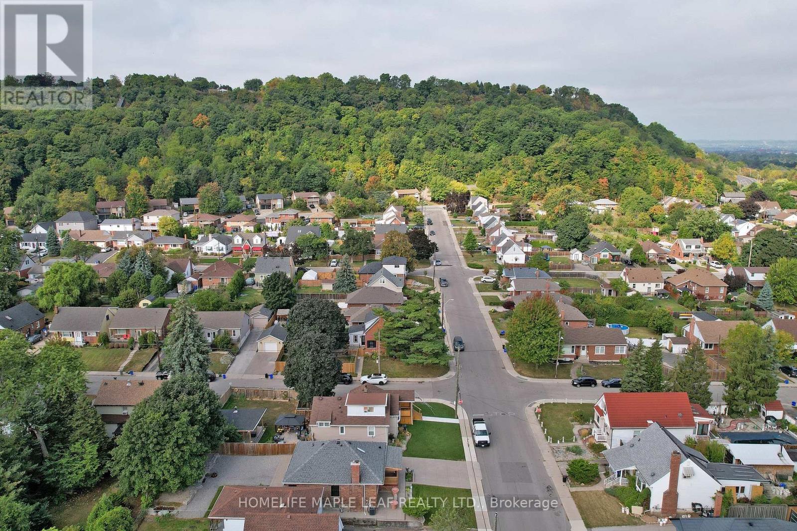 Single Family House for Sale in  MONTROSE AVENUE Hamilton (Rosedale) 