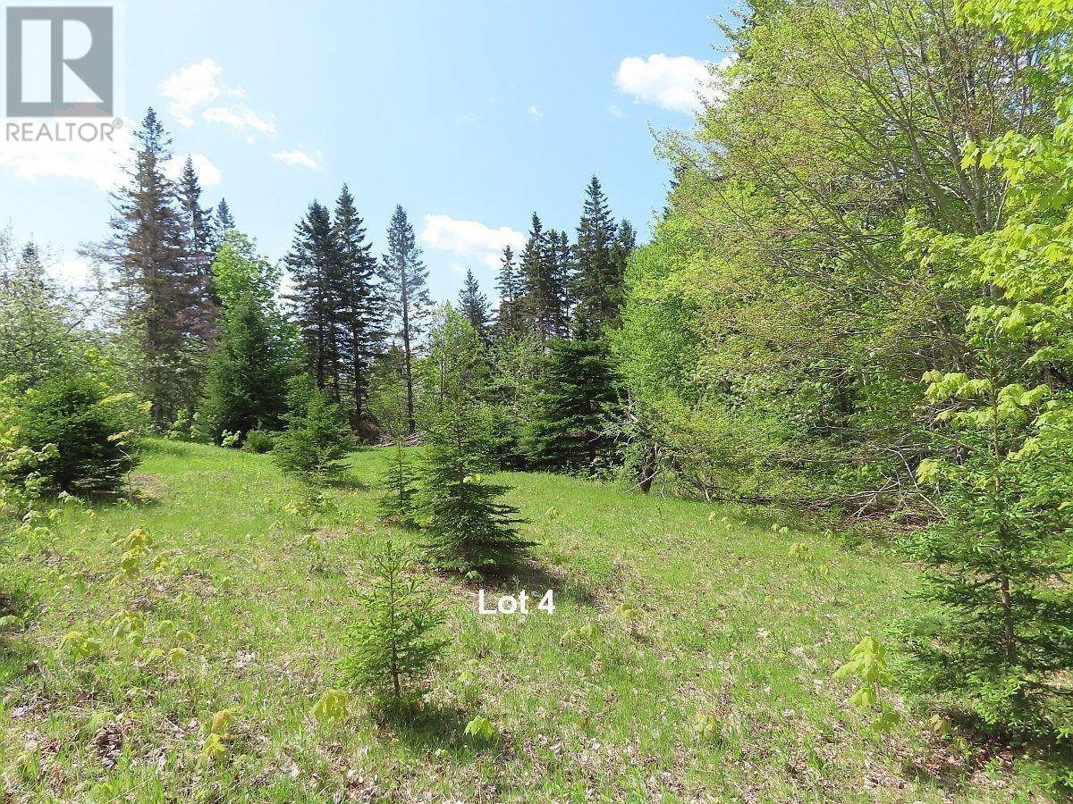 Property 26 of 37 of 3 Lots Gold River Road