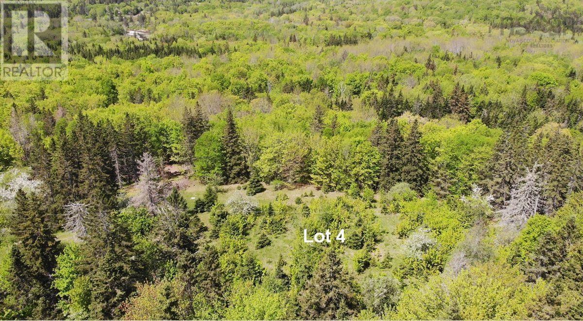 Property 31 of 37 of 3 Lots Gold River Road