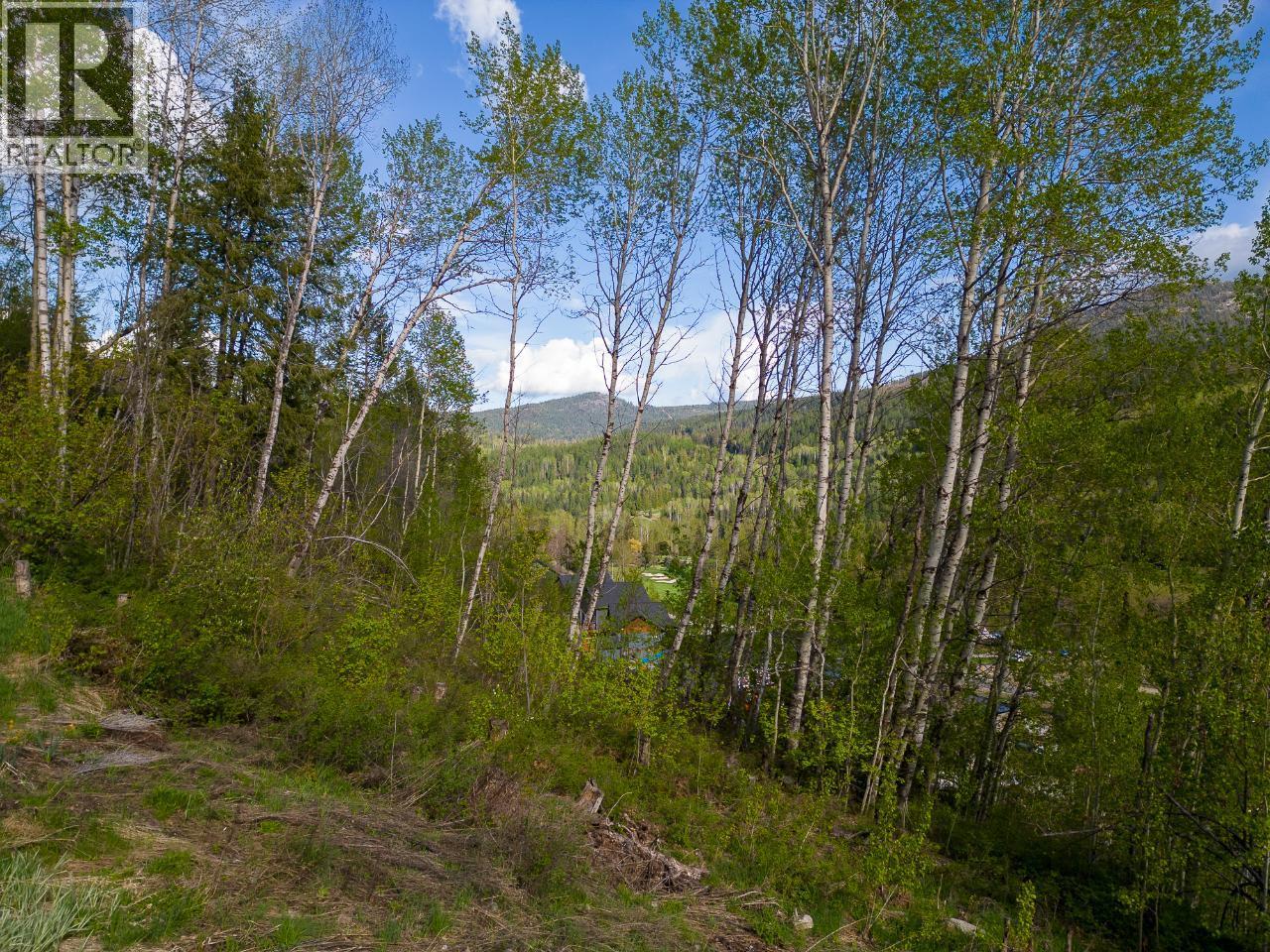 1021 SILVERTIP Road, Rossland