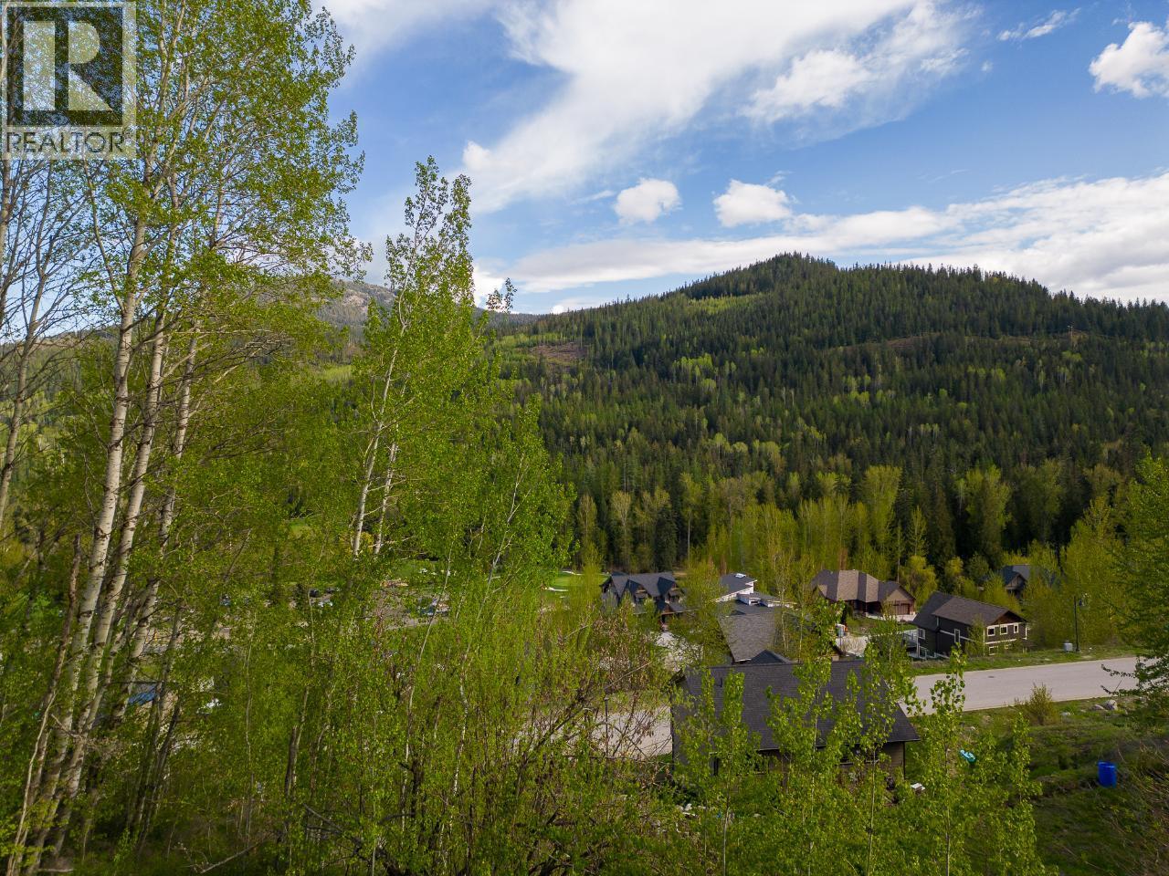 1021 SILVERTIP Road, Rossland