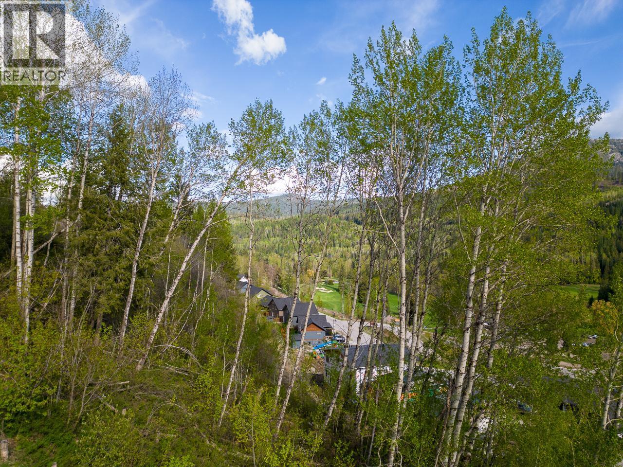 1021 SILVERTIP Road, Rossland