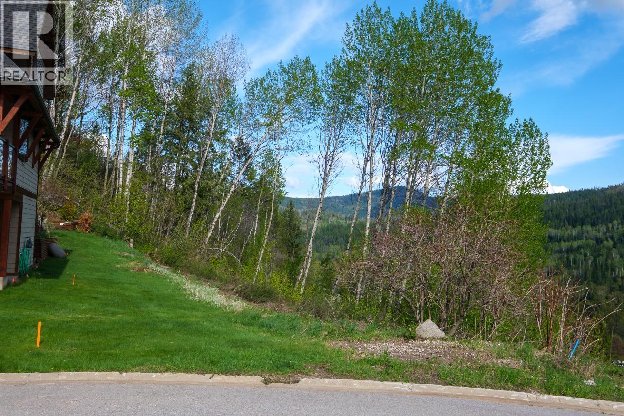 1021 SILVERTIP Road, Rossland