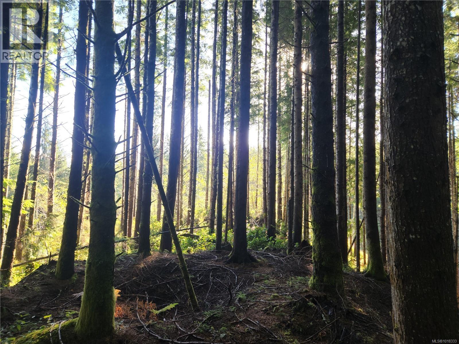 50 Murrelet Close, Sooke