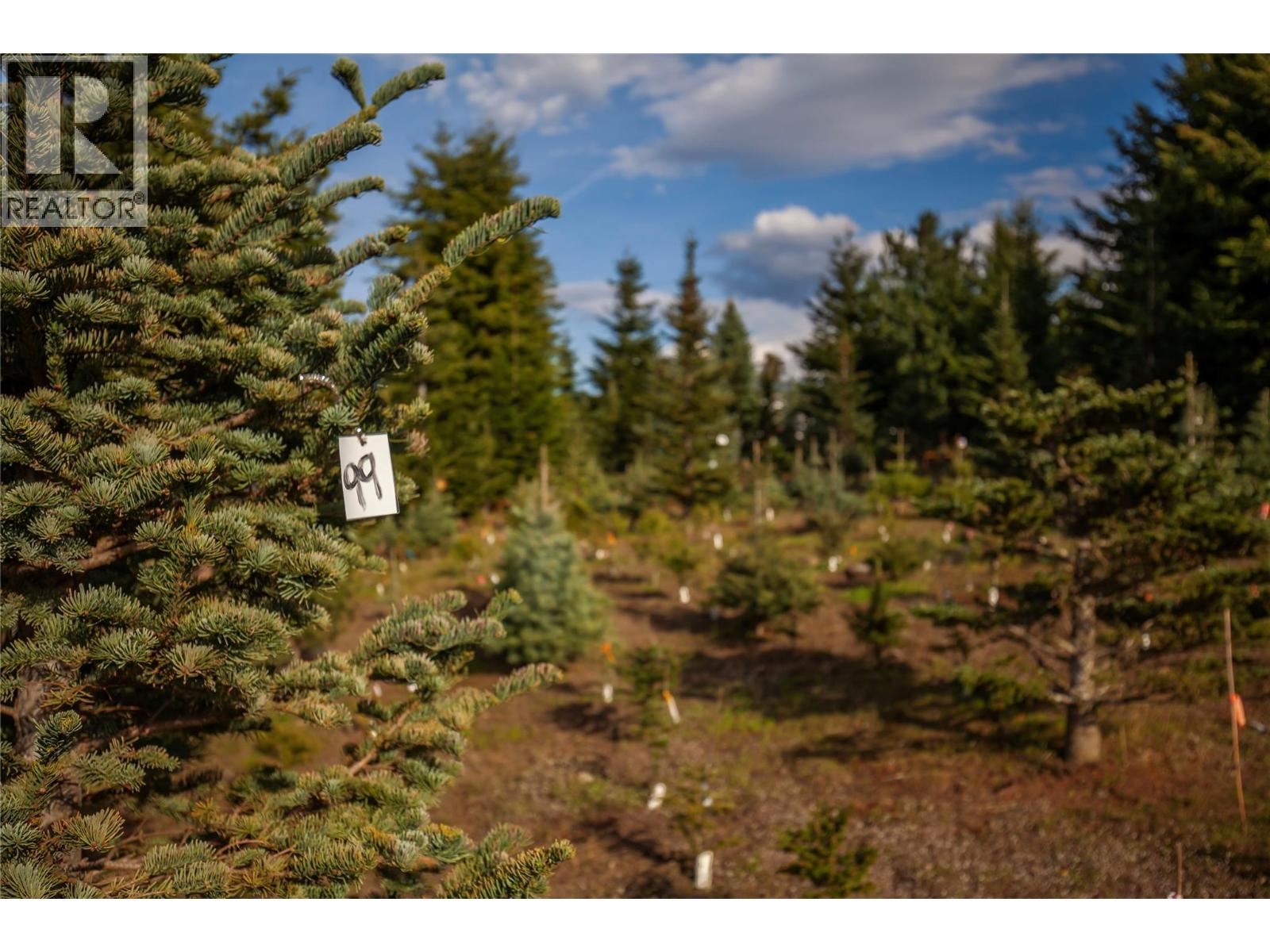 239 Stepping Stones Crescent, Spallumcheen