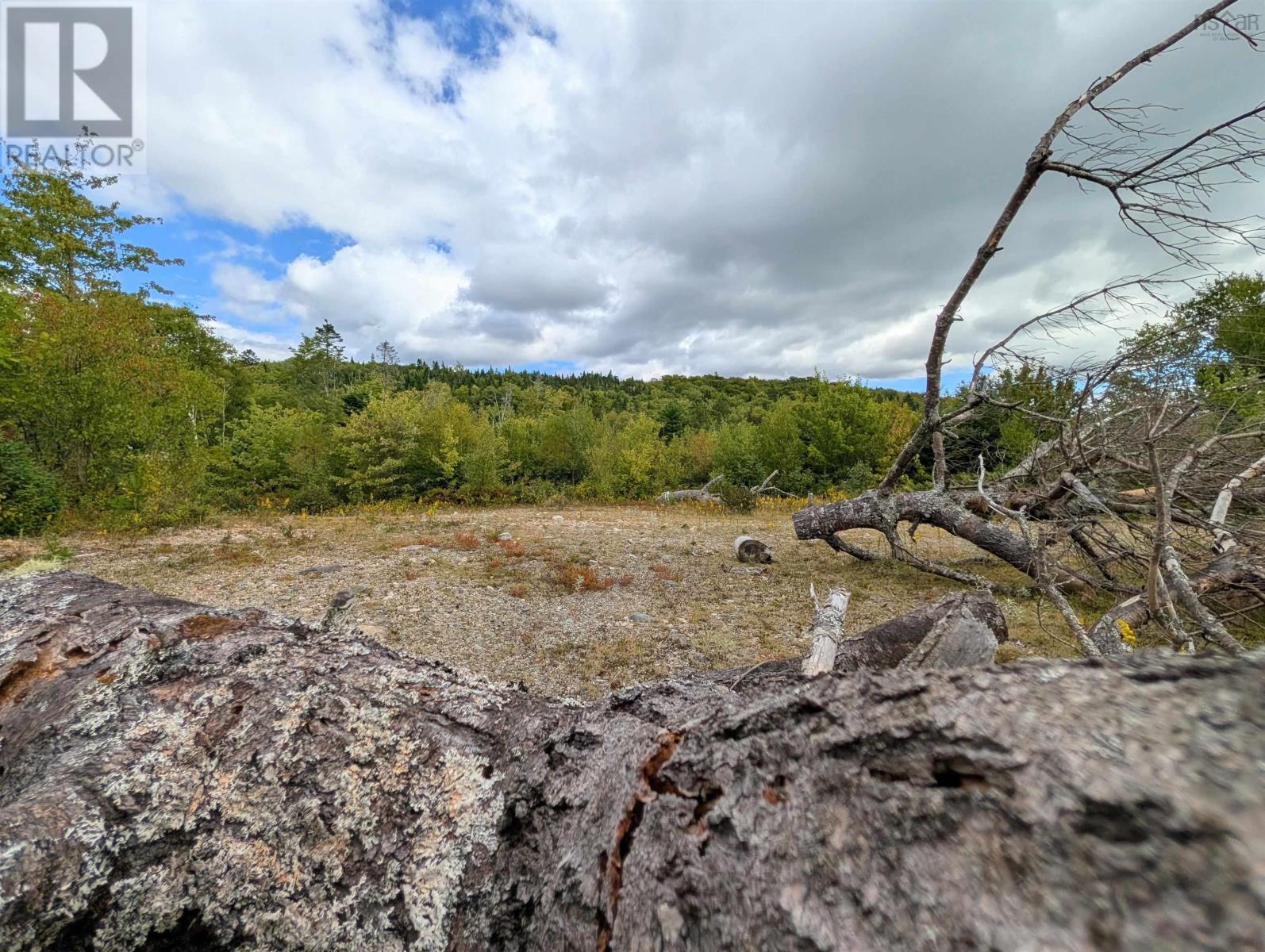 Property 15 of 41 of Lot 1 Highway 316