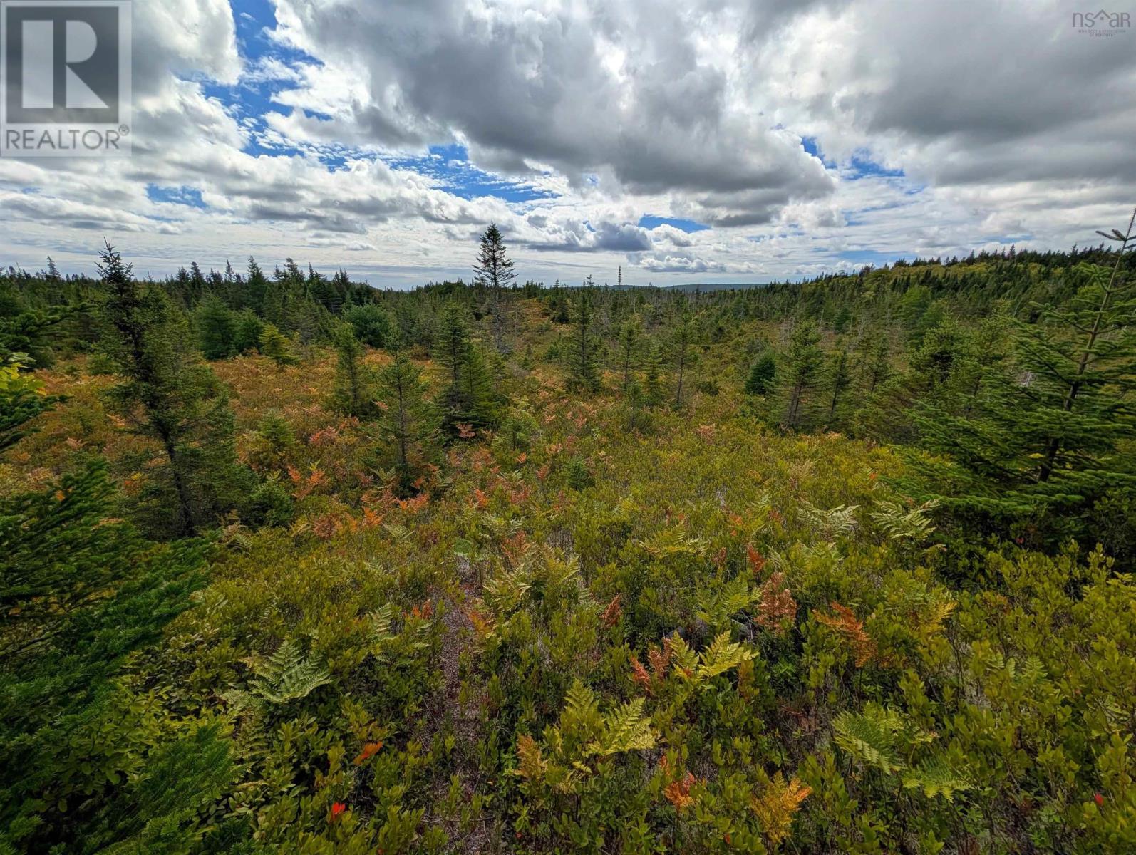 Property 26 of 41 of Lot 1 Highway 316