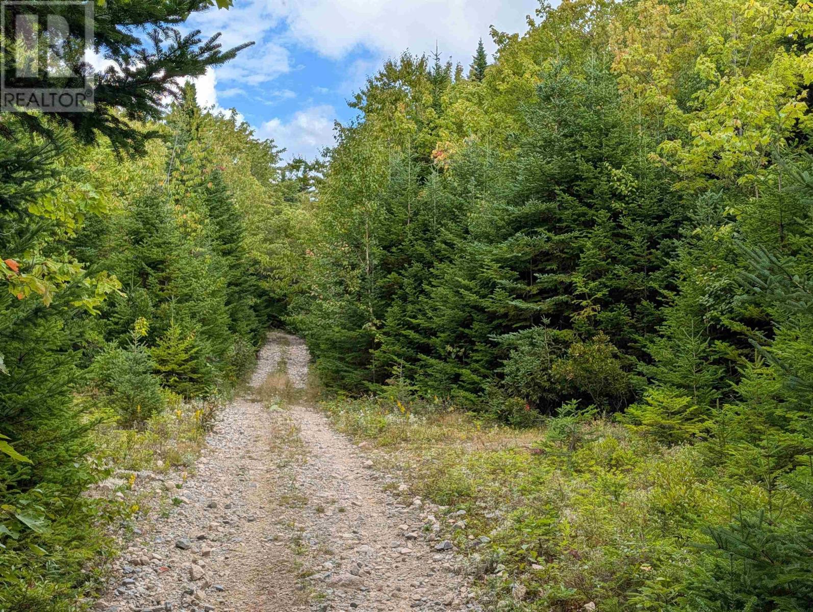 Property 21 of 41 of Lot 1 Highway 316