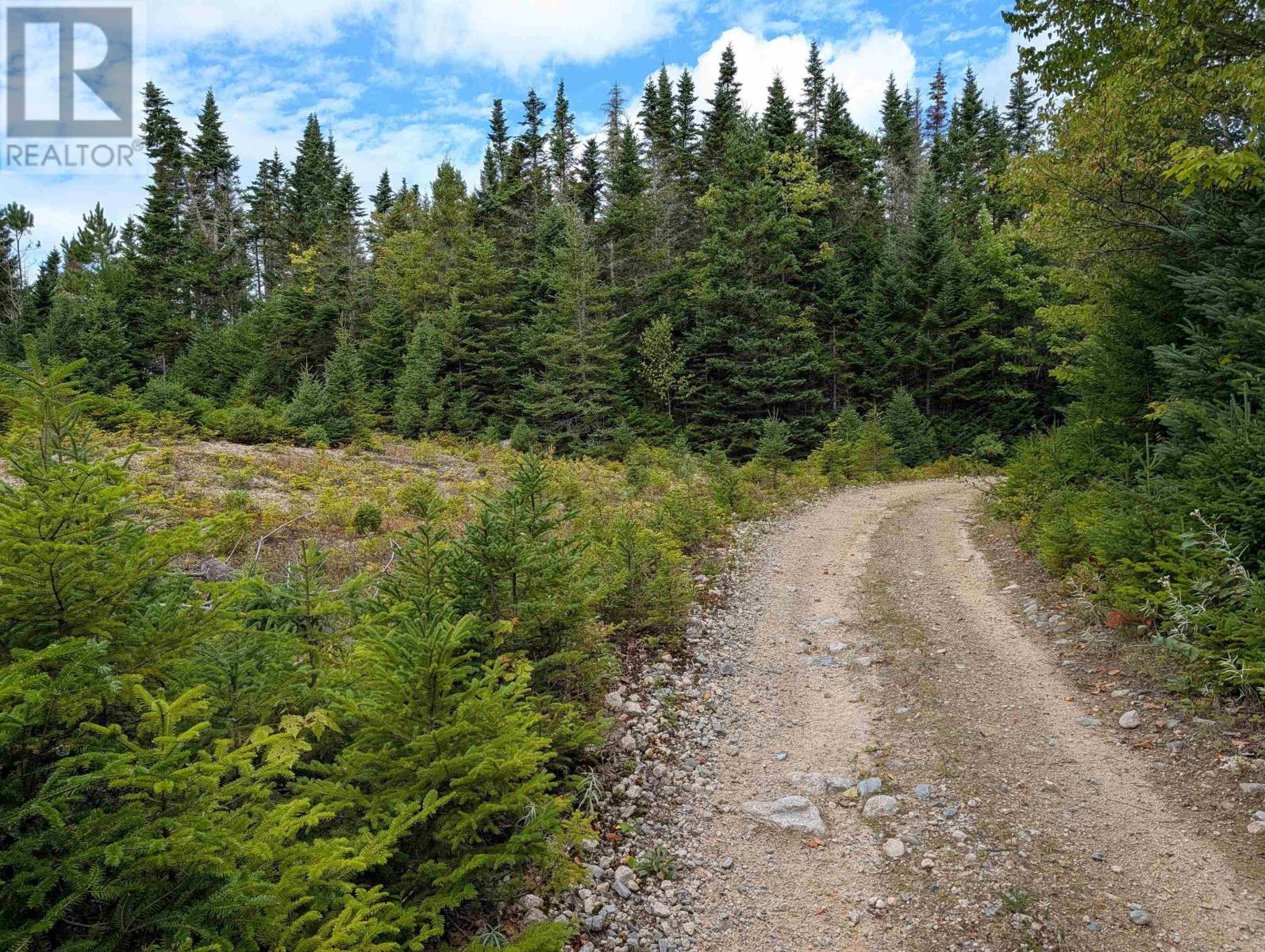 Property 10 of 41 of Lot 1 Highway 316