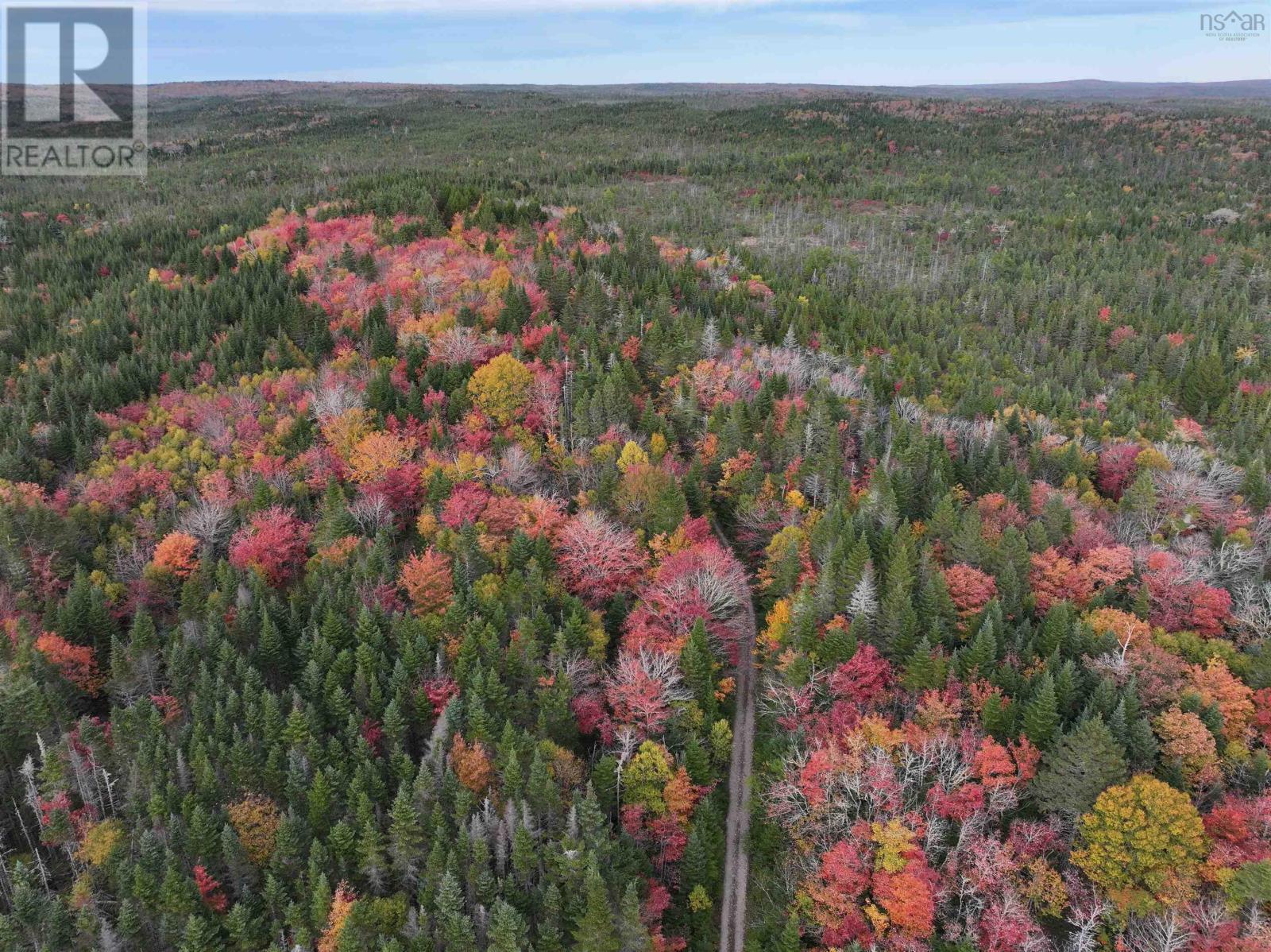 Property 31 of 41 of Lot 1 Highway 316